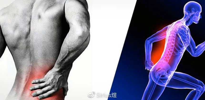 为什么大前锋在比赛中需要特别的体能训练?_2